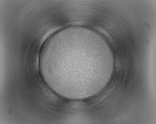 X0000113330886200910051144