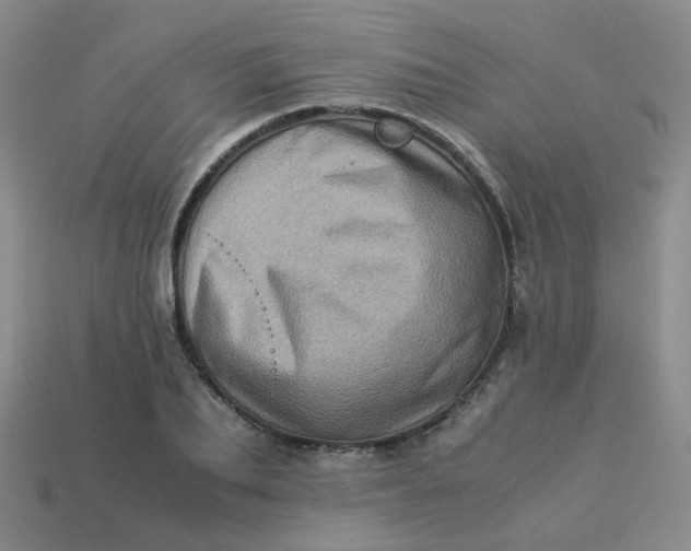 X0000113330887200910051144