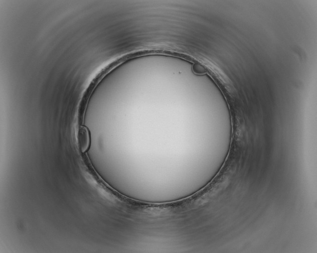 X0000113330888200910051144