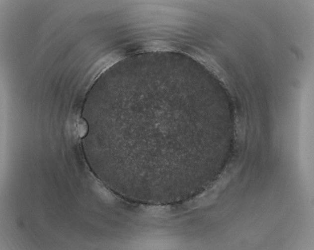 X0000113330889200910051144