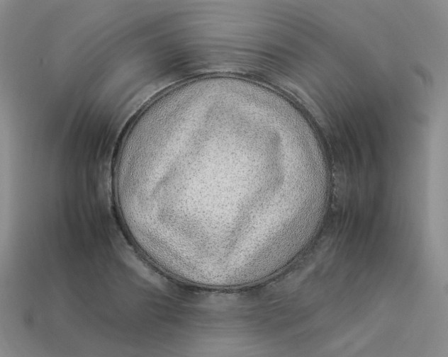 X0000113330890200910051144