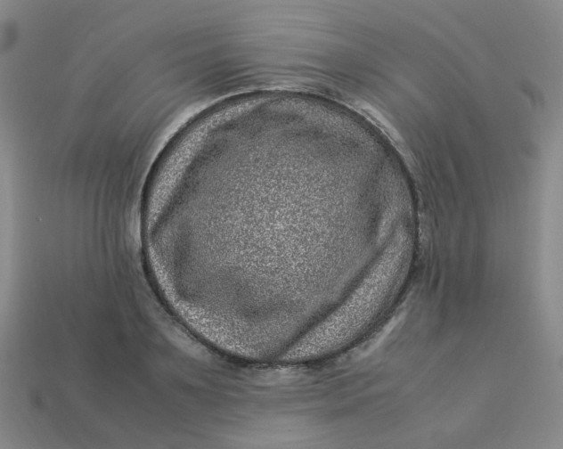 X0000113330891200910051144