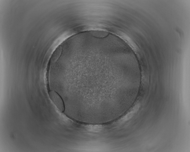 X0000113330893200910051144