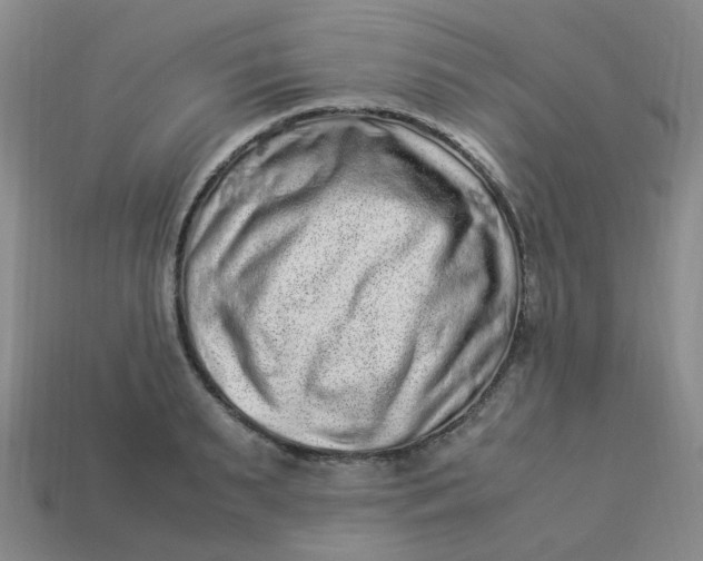 X0000113330895200910051144