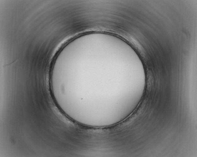 X0000113330896200910051144