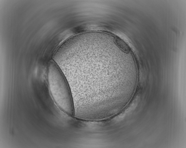 X0000113330897200910051144