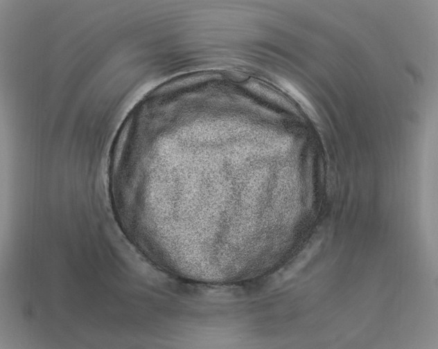 X0000113330899200910051144