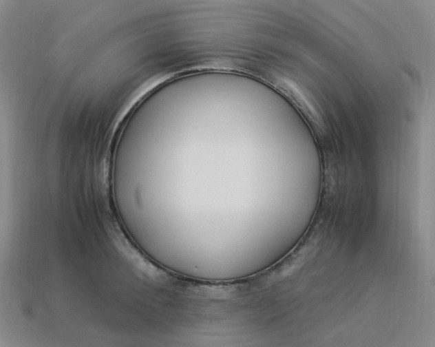X0000113330900200910051144