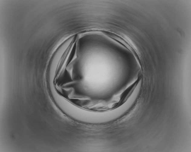 X0000113330901200910051144