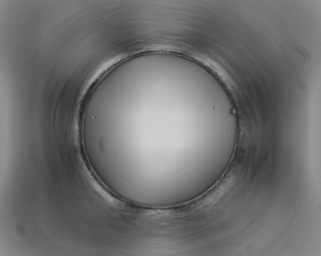 X0000113330902200910051144