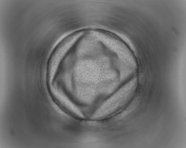 X0000113330903200910051144
