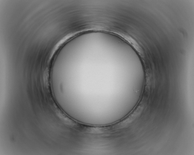 X0000113330904200910051144