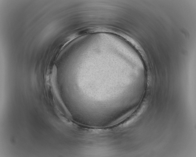 X0000113330905200910051143
