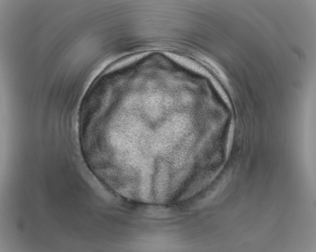 X0000113330907200910051143
