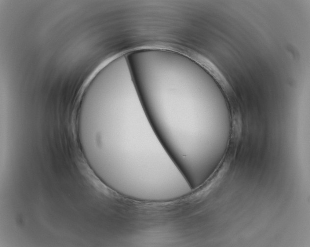 X0000113330908200910051143