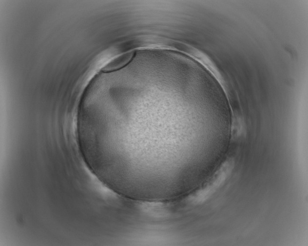X0000113330909200910051143
