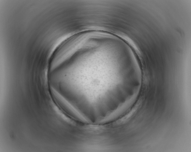 X0000113330910200910051143