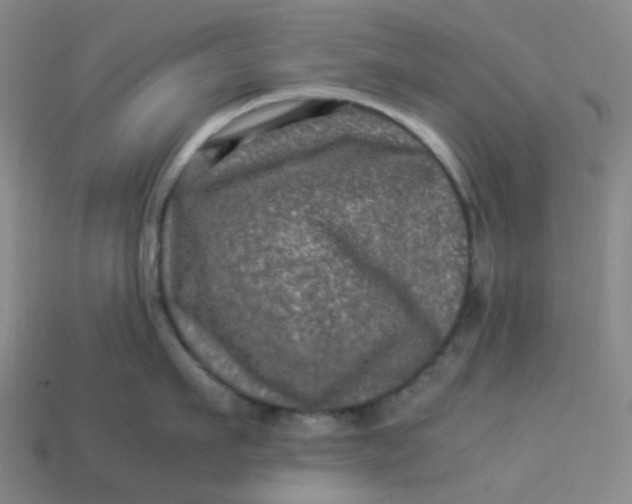 X0000113330911200910051143