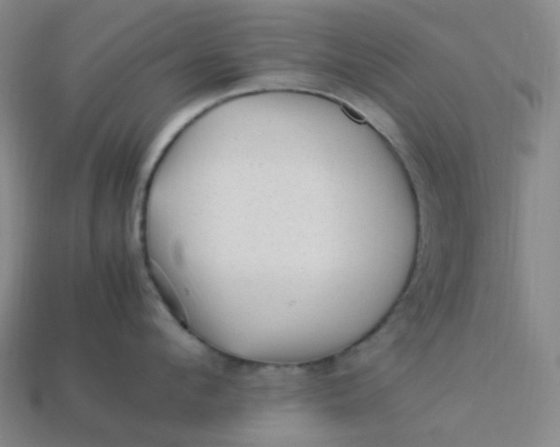 X0000113330912200910051143
