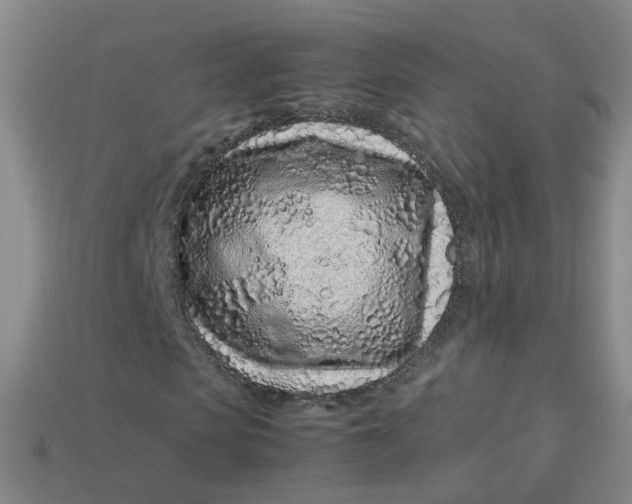 X0000113330913200910051143