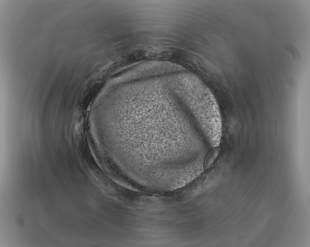X0000113330914200910051143