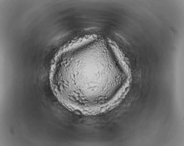 X0000113330917200910051143