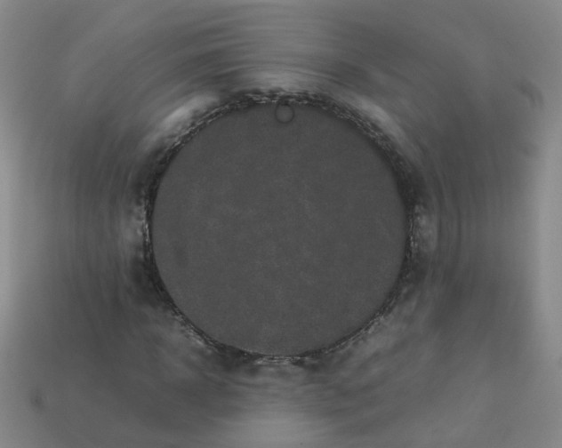 X0000113330918200910051143