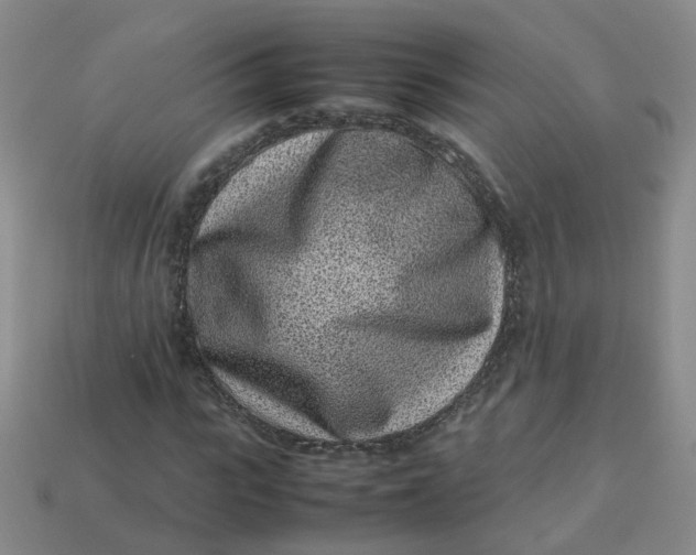 X0000113330919200910051143