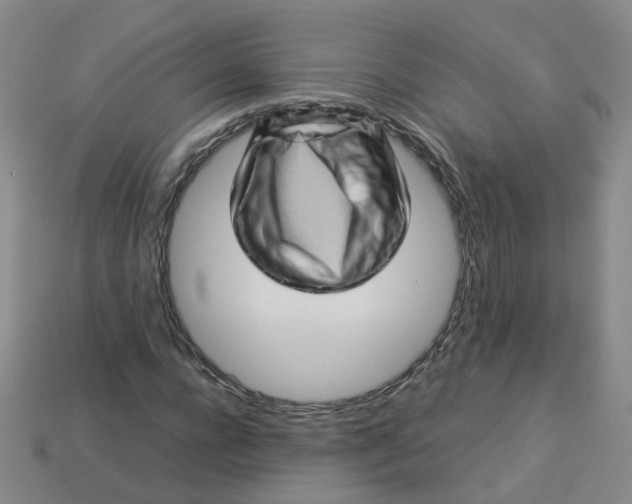 X0000113330920200910051143