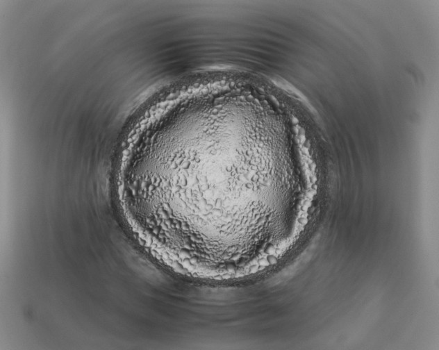 X0000113330921200910051143