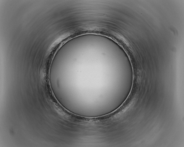 X0000113330922200910051143