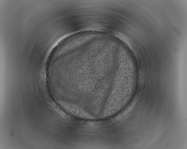 X0000113330923200910051143