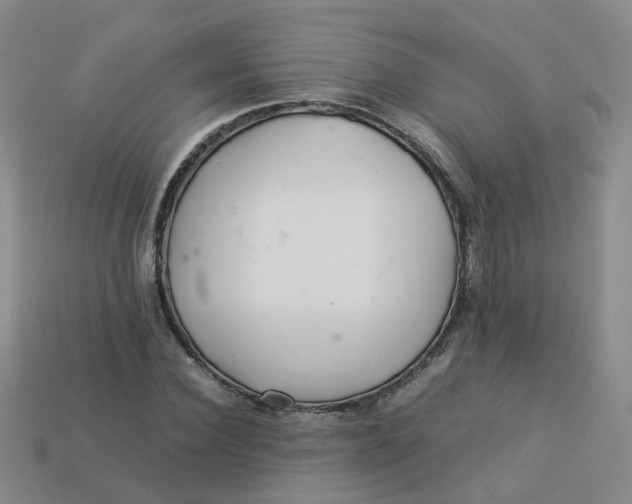 X0000113330924200910051143