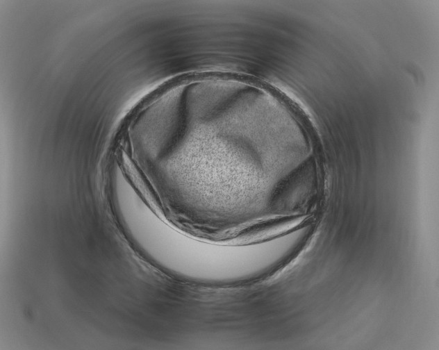 X0000113330925200910051143