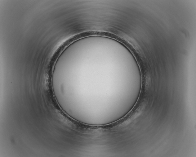 X0000113330926200910051143