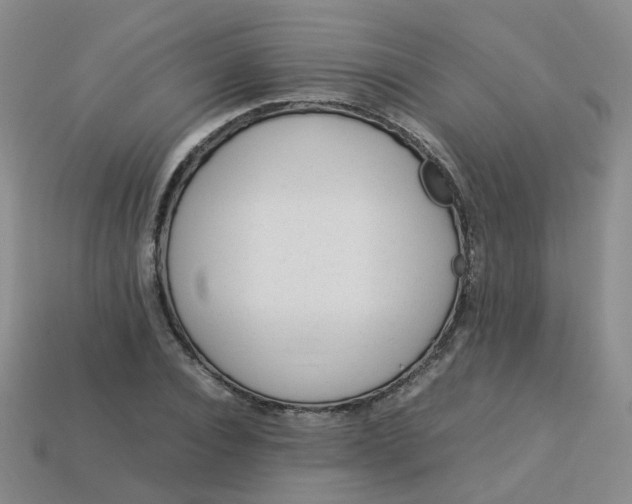 X0000113330928200910051143