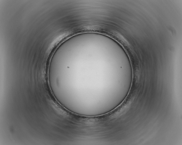 X0000113330930200910051143