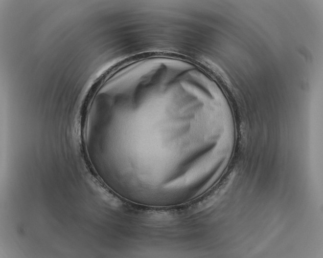 X0000113330931200910051143