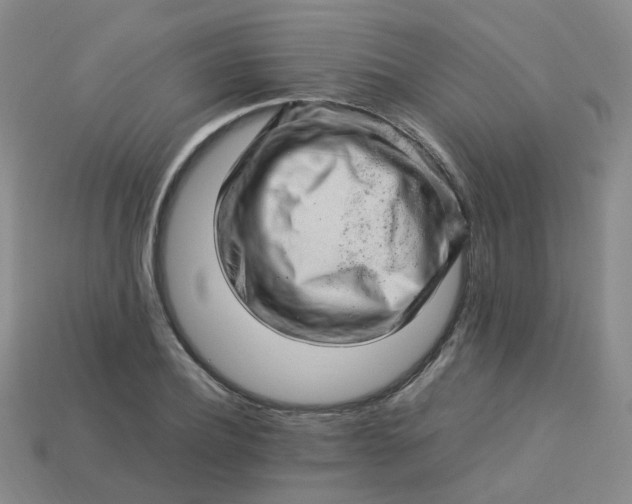 X0000113330932200910051143
