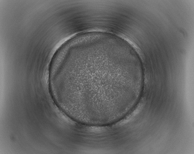 X0000113330933200910051143