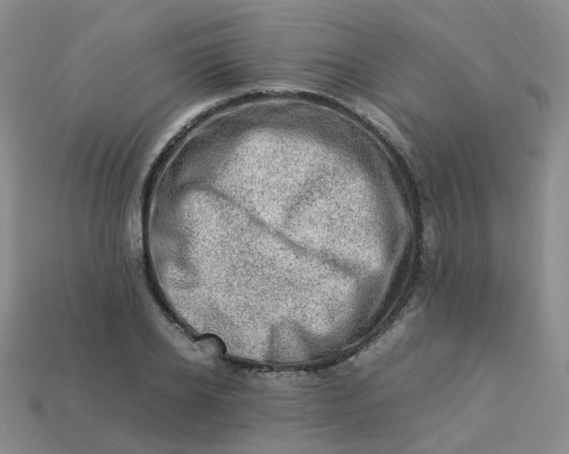 X0000113330934200910051143