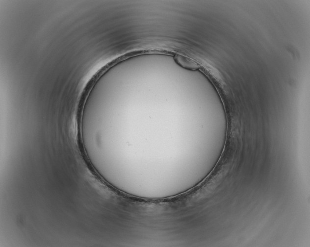 X0000113330936200910051143