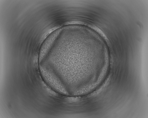 X0000113330937200910051143