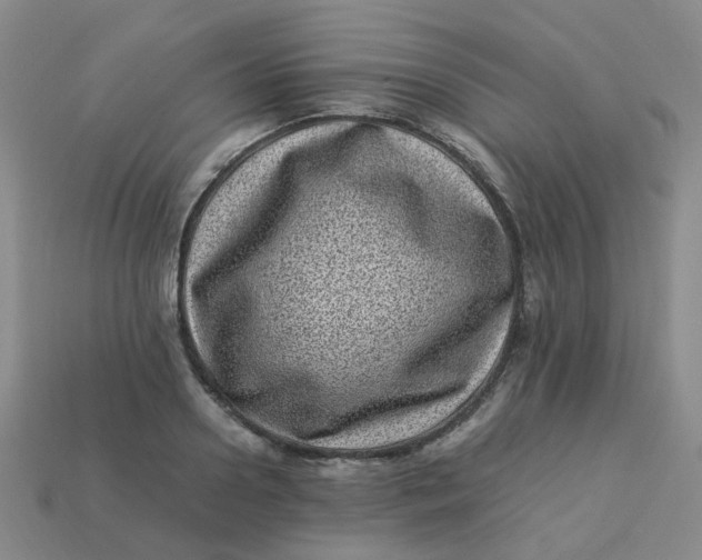 X0000113330938200910051143