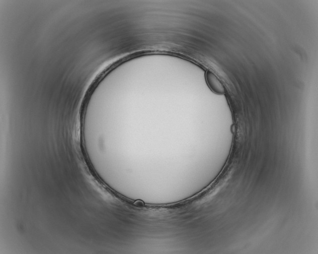 X0000113330940200910051143