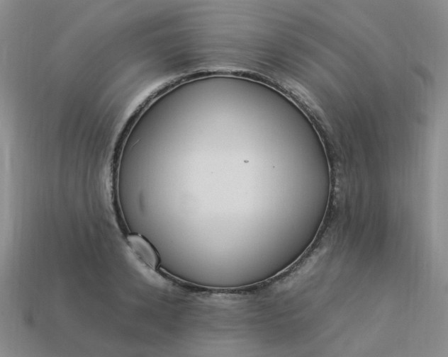 X0000113330942200910051143