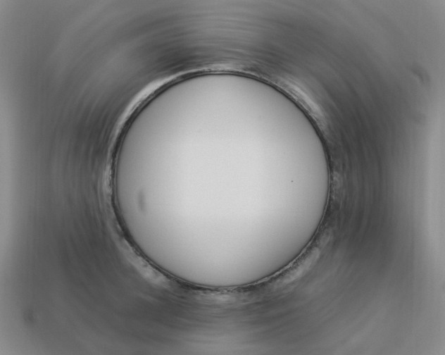 X0000113330948200910051143