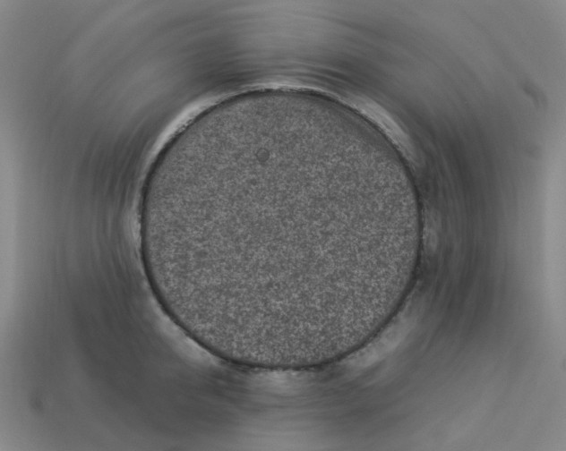 X0000113330950200910051143