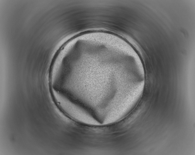 X0000113330951200910051143