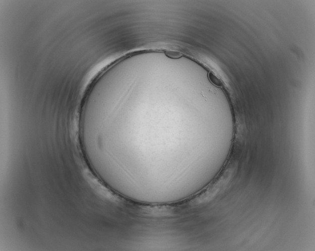 X0000113330952200910051143